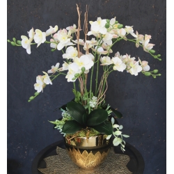 Kompozycja PREMIUM STORCZYKI BIAŁE 10-pędów w złotej osłonce MAXI